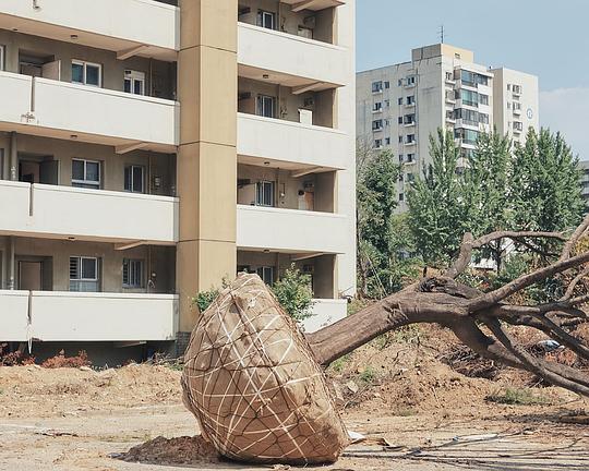 《Cats' Apartment》纪录片封面