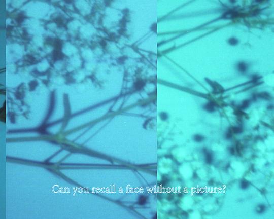 《局部失明》电影封面