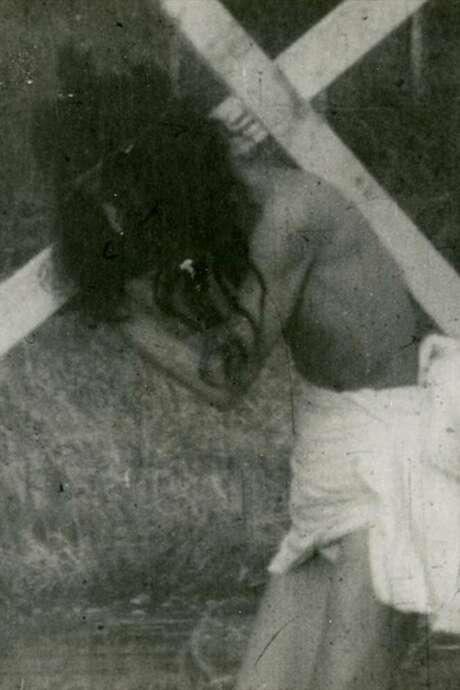 《天地创造说》电影封面