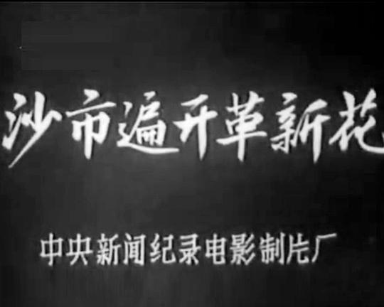 《沙市遍开革新花》纪录片封面
