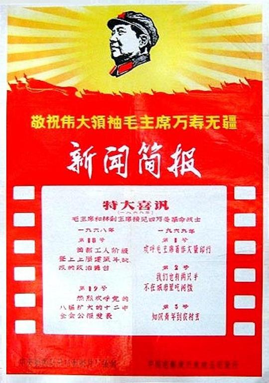 《新闻简报1969年第2号：我们也有两只手，不在城市里吃闲饭》纪录片封面