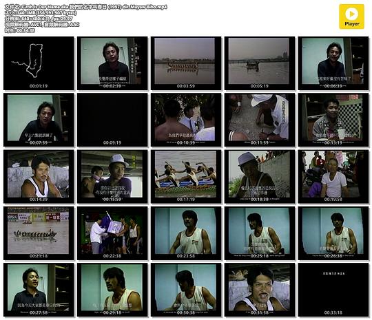 《我们的名字叫春日》纪录片封面