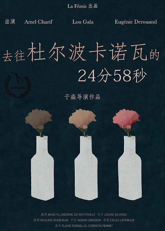 《去往杜尔波卡诺瓦的24分58秒》电影封面