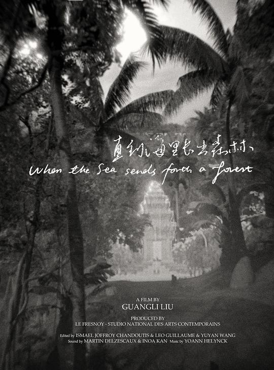 《直到海里长出森林》纪录片封面