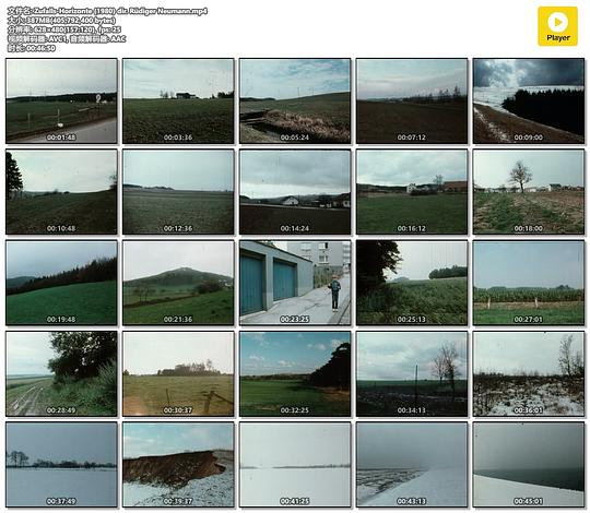 《Zufalls-Horizonte》电影封面