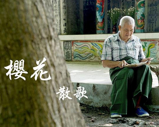 《樱花散歌》纪录片封面