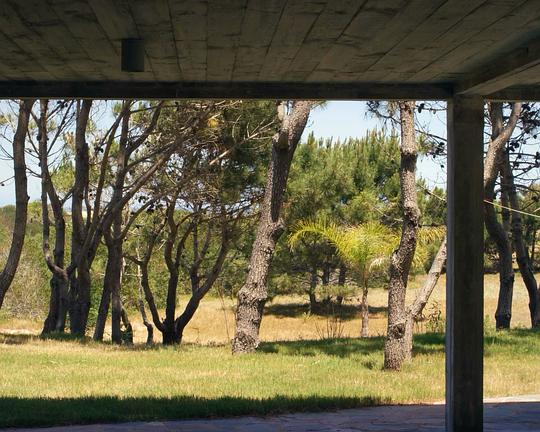 《Casa Golly》纪录片封面