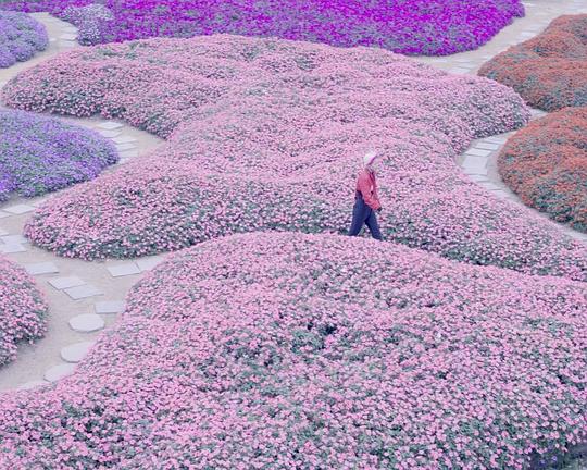 《YEN》电影封面