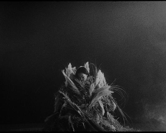 《the bang straws》电影封面