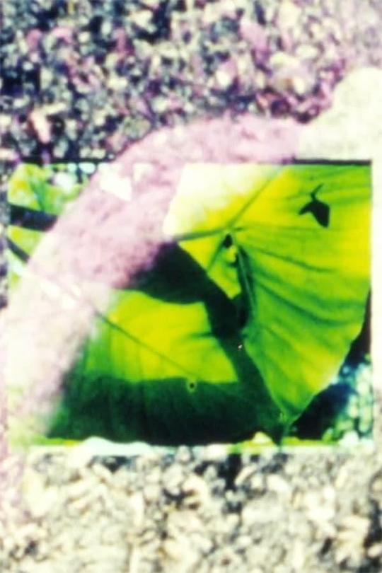 《Ficciones》电影封面