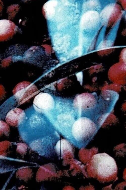 《Bark-Rind》电影封面