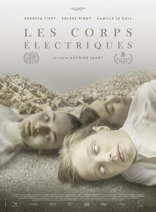 《电子身体》电影封面