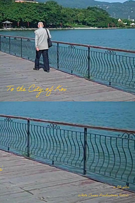 《去鲤城》电影封面