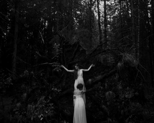 《Anima》电影封面