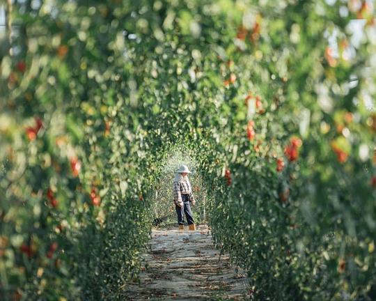 《念念烟城》电影封面