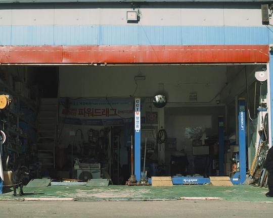 《웅비와 인간 아닌 친구들》电影封面