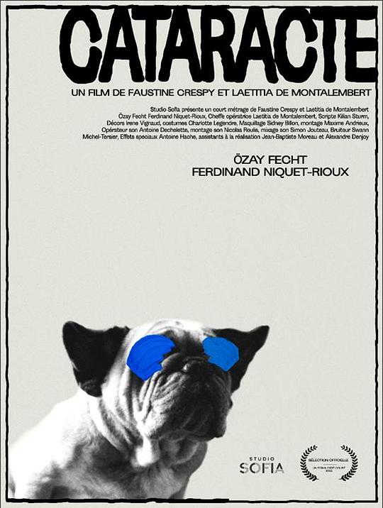 《白内障》电影封面