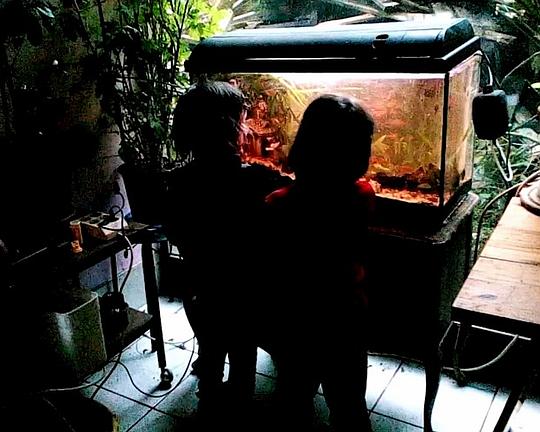 《Diary of an Organism (newly translated)》电影封面