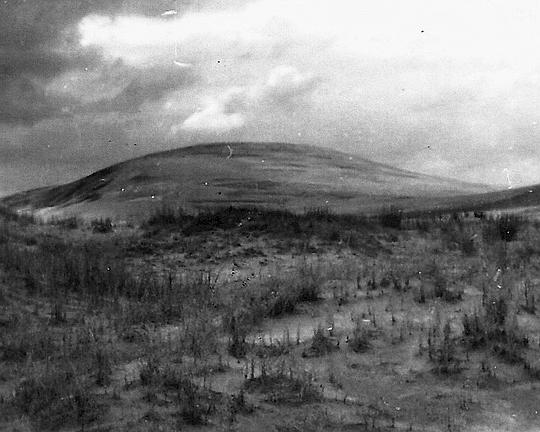 《The Dunes Said》电影封面