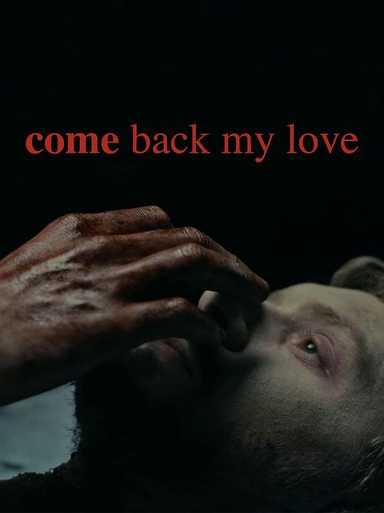 《归来吾爱》电影封面