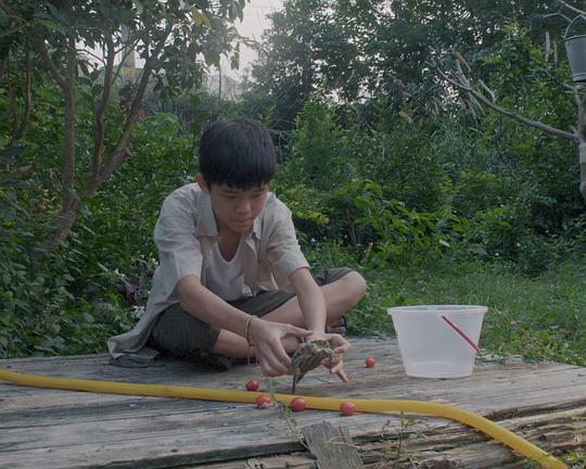 《夜光》电影封面