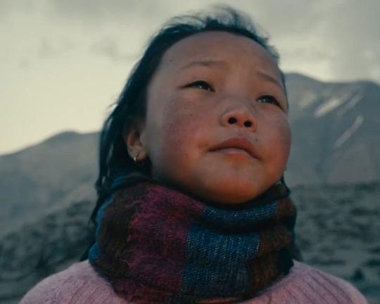 《寂静的和声》电影封面