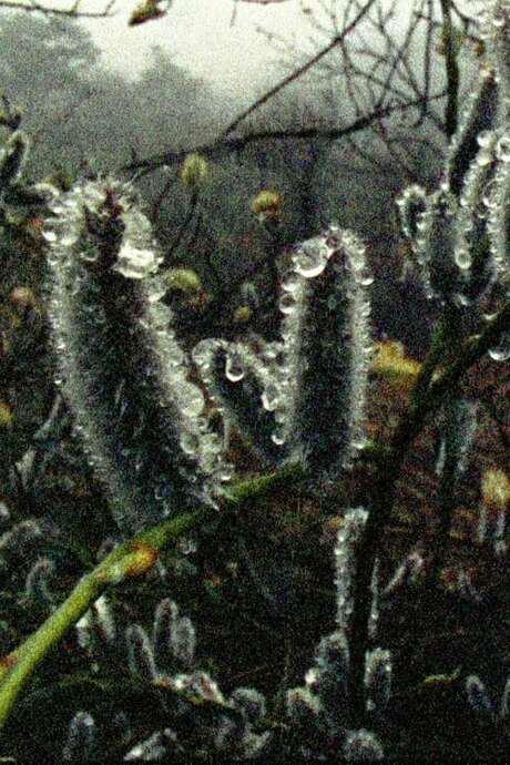 《Who Does The Earth Think It Is (Becoming Fire)》电影封面