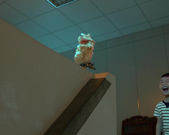 《一隻綠頭鴨的不尋常死亡》纪录片封面