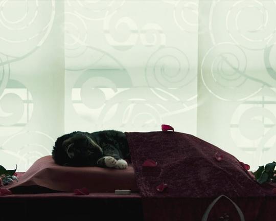 《Und Dann Stille》纪录片封面