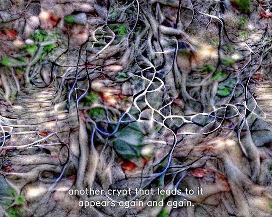 《Wunderkammer 10.0》电影封面