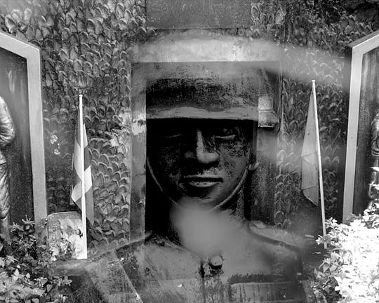 《Seeing in the Dark》电影封面