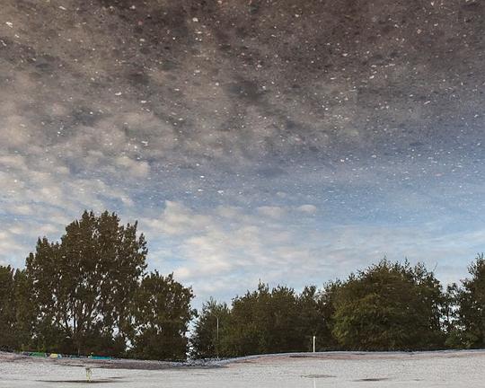 《Wither》电影封面