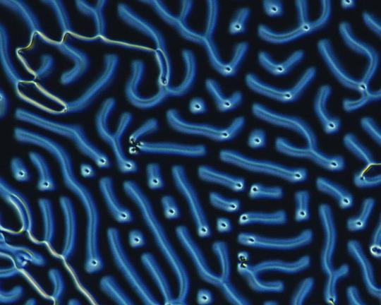 《HOT/STUCK/DEAD》电影封面