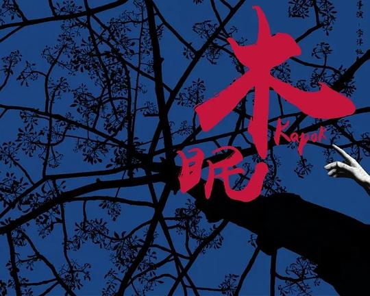 《木眠》电影封面