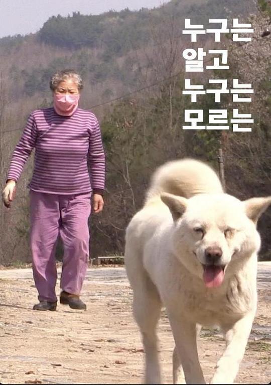 《谁知道谁不知道》电影封面