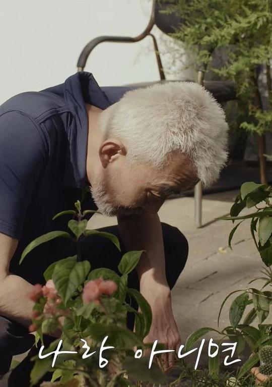 《或者和我》电影封面