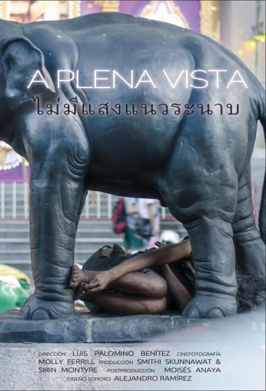 《A Plena Vista》纪录片封面