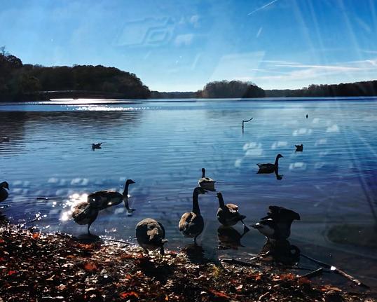 《그곳, 날씨는》电影封面