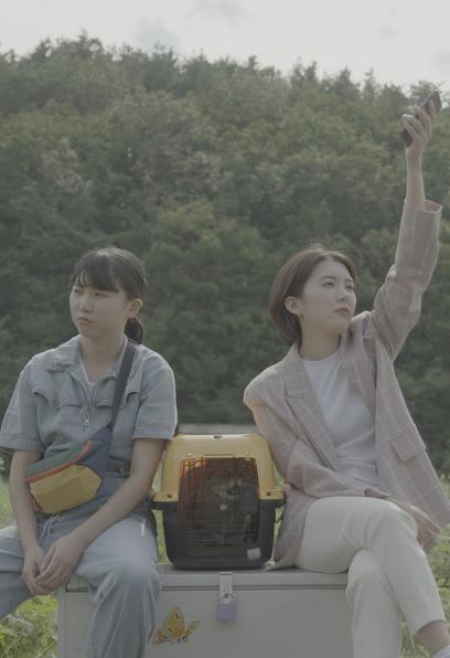 《냉장고 안의 코끼리》电影封面