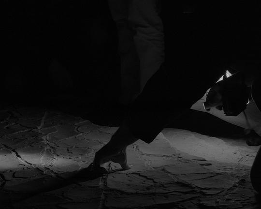 《生命之滩》电影封面