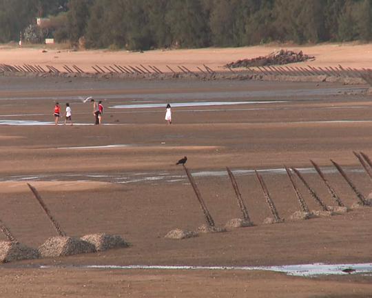 《薈萃浯島》纪录片封面