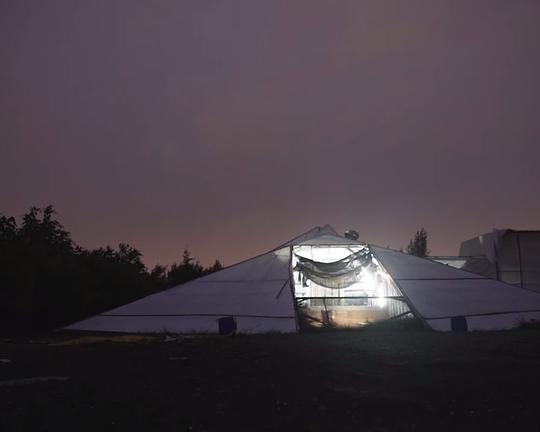 《全台唯一「鯨豚中心」：一通電話啟動救援任務》纪录片封面