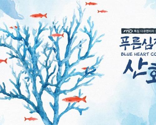 《蓝色的心，珊瑚》纪录片封面