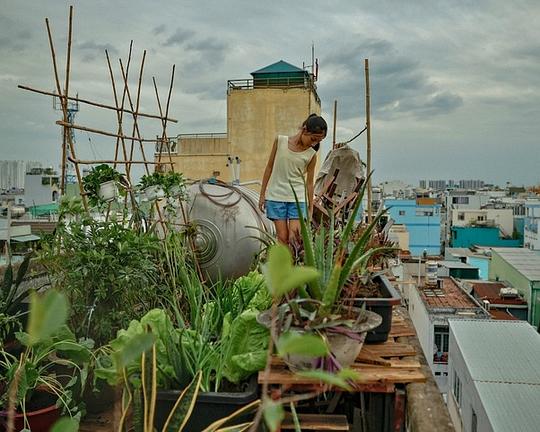 《Lempicka Trên Mái Nhà》电影封面