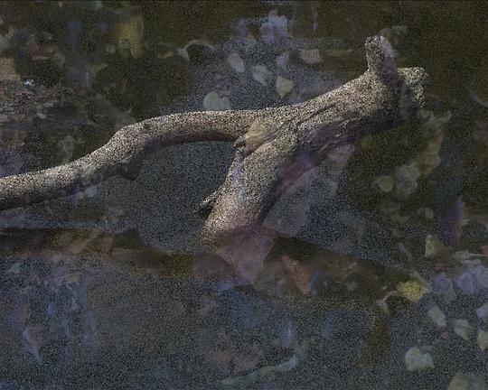 《On This Shore, Here.》电影封面