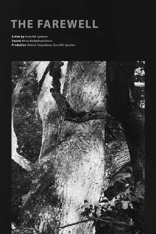 《The Farewell》电影封面