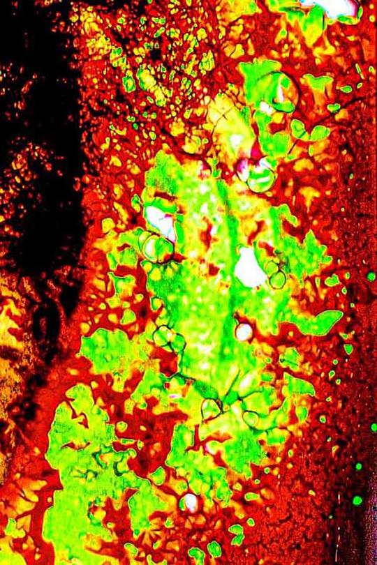 《昨日余烬，燃烧的火焰》电影封面