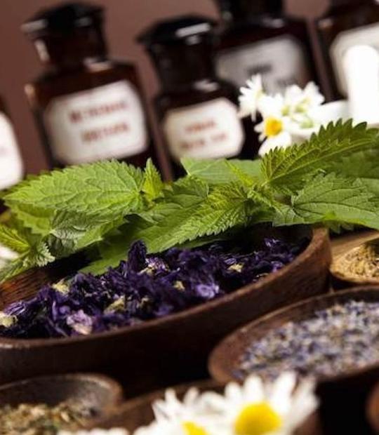 《天涯何处无香草》纪录片封面