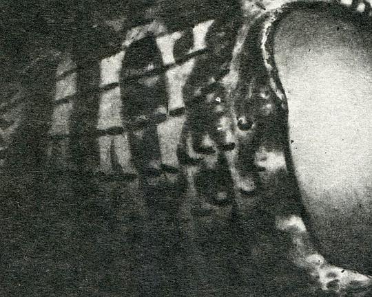 《美女与野兽》电影封面