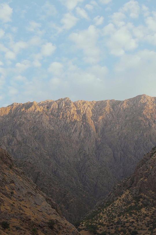 《Landscape Suspended》电影封面